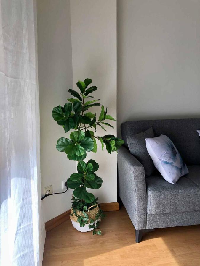 Apartamentos Schultz Gijon Exterior photo